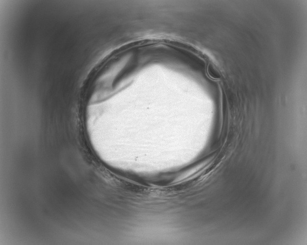 X0000074291263200609222300