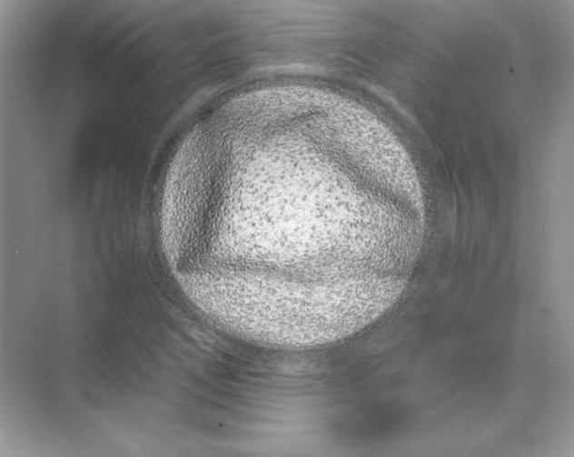 X0000074291266200609222300