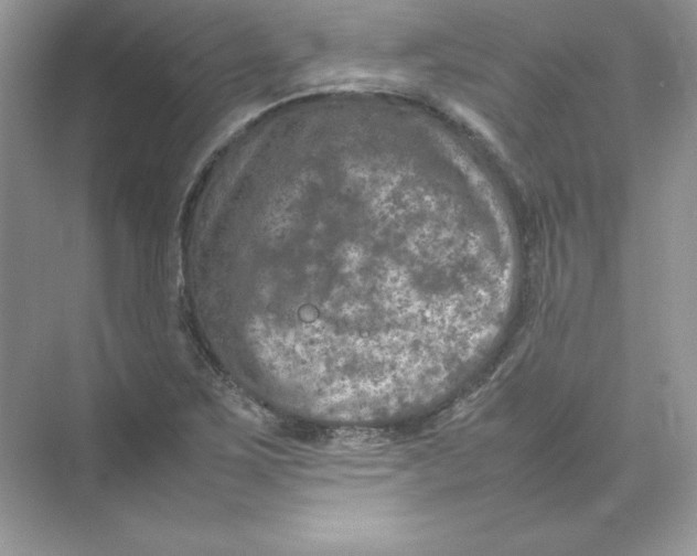 X0000074291267200609222300