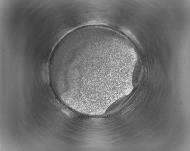 X0000074291268200609222300