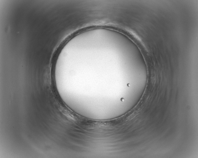 X0000074291270200609222300