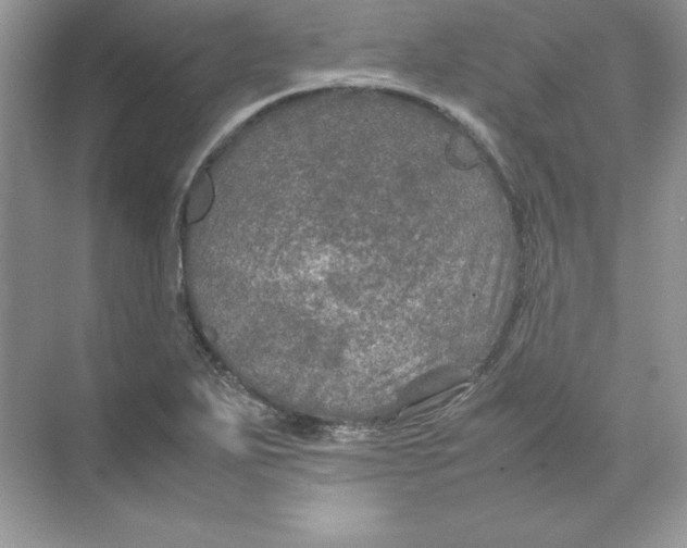 X0000074291271200609222300