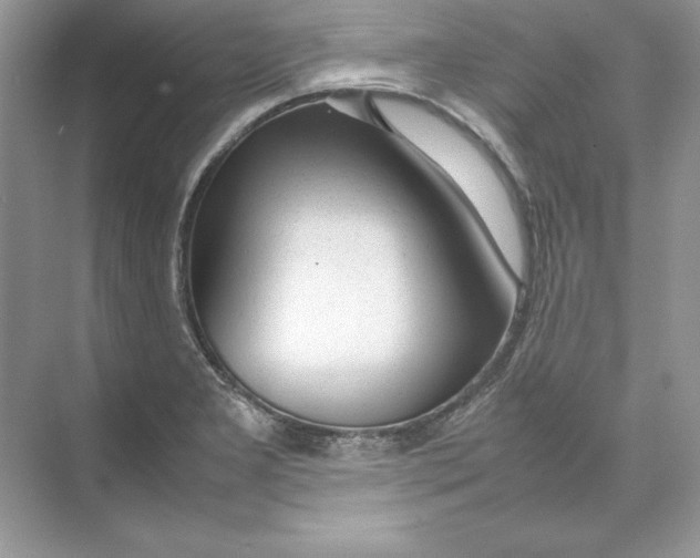 X0000074291277200609222259