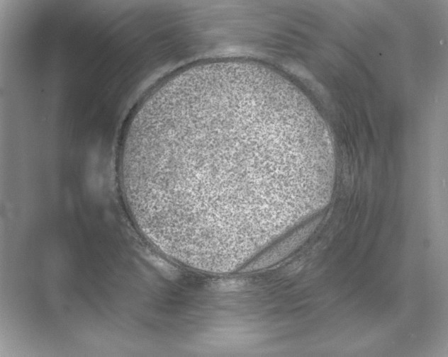 X0000074291278200609222259