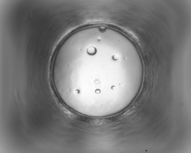 X0000074291279200609222259