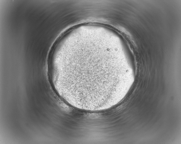 X0000074291280200609222259