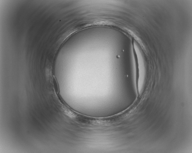 X0000074291281200609222259