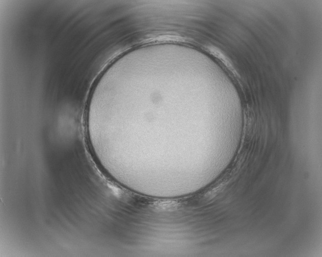 X0000074291282200609222259