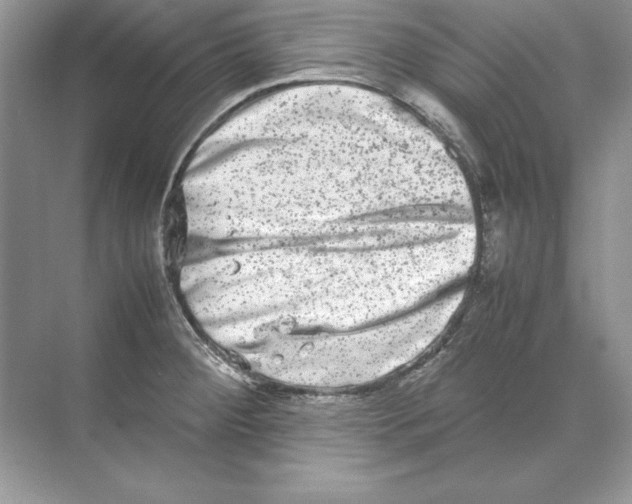 X0000074291284200609222259