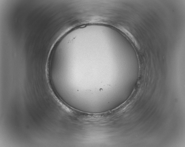 X0000074291285200609222259