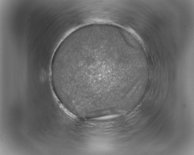 X0000074291287200609222259