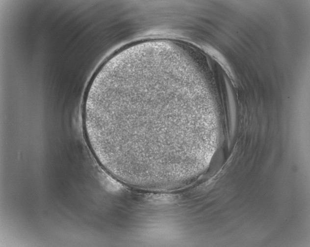 X0000074291288200609222259