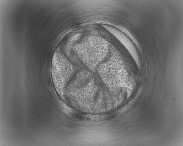 X0000074291289200609222259