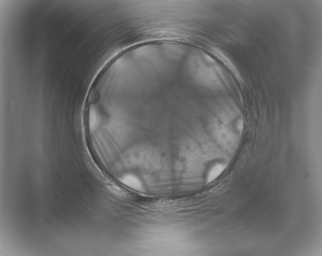 X0000074291291200609222259