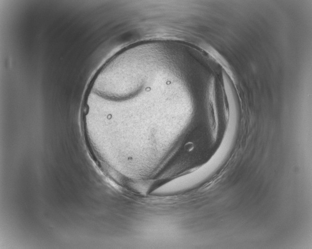 X0000074291293200609222259