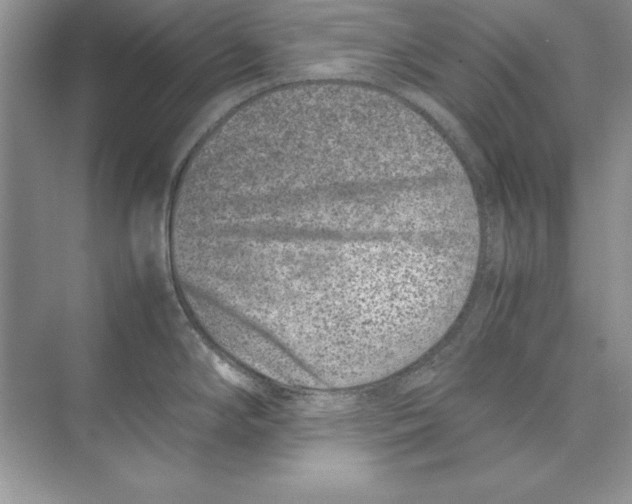 X0000074291294200609222259