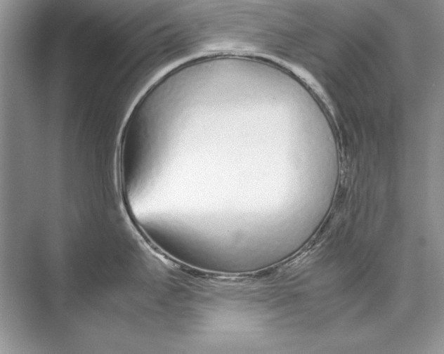 X0000074291295200609222259