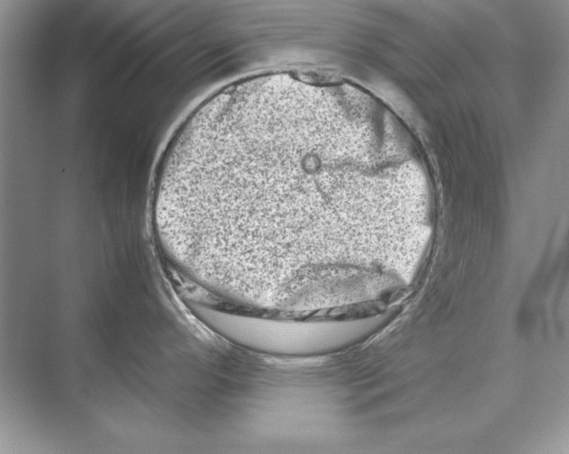 X0000074291296200609222259