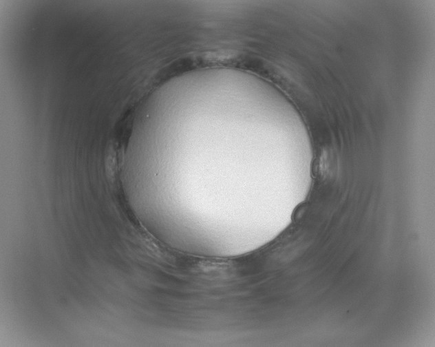 X0000074291299200609222258