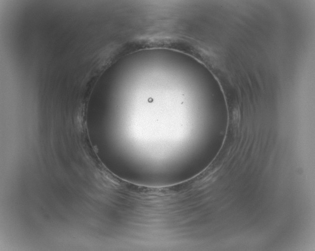 X0000074291300200609222258