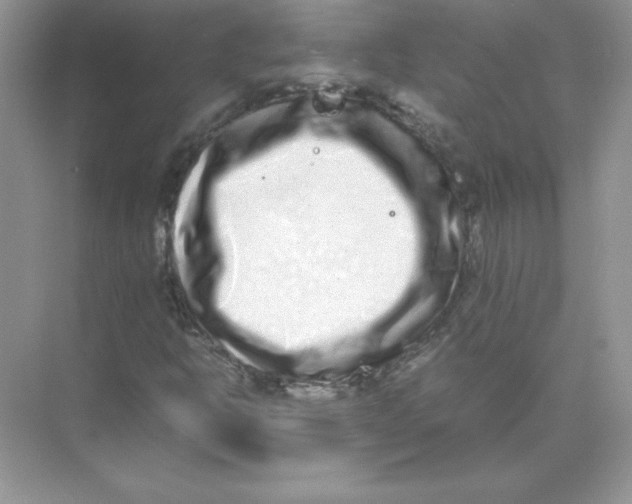 X0000074291302200609222258