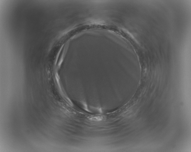 X0000074291303200609222258