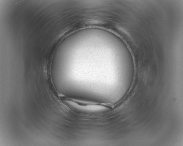 X0000074291305200609222259