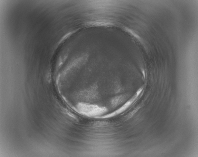 X0000074291306200609222259