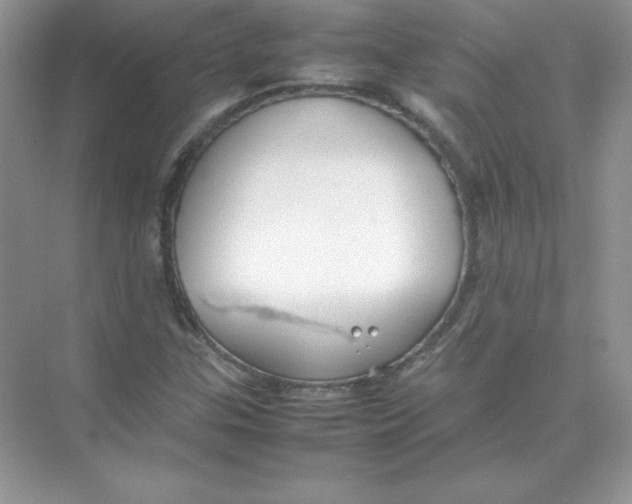 X0000074291307200609222259