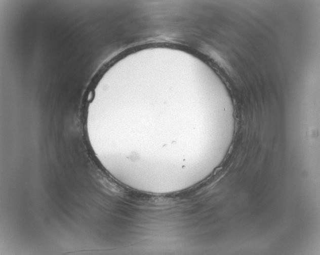 X0000074291308200609222259