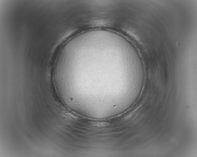 X0000074291309200609222259