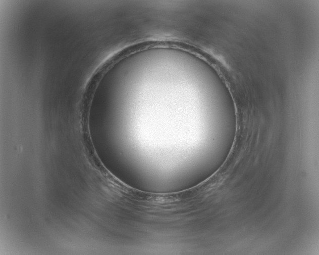 X0000074291311200609222259