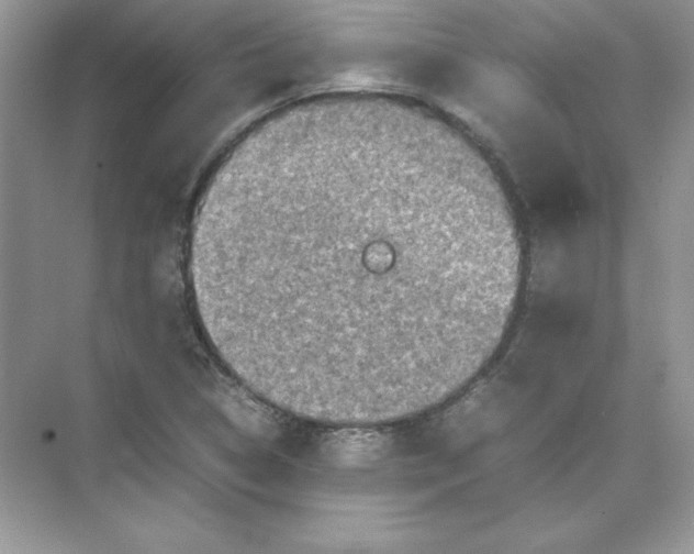 X0000074291314200609222259