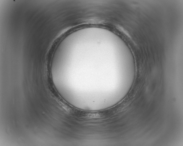 X0000074291315200609222259