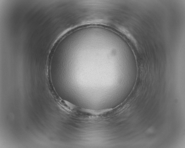 X0000074291316200609222259