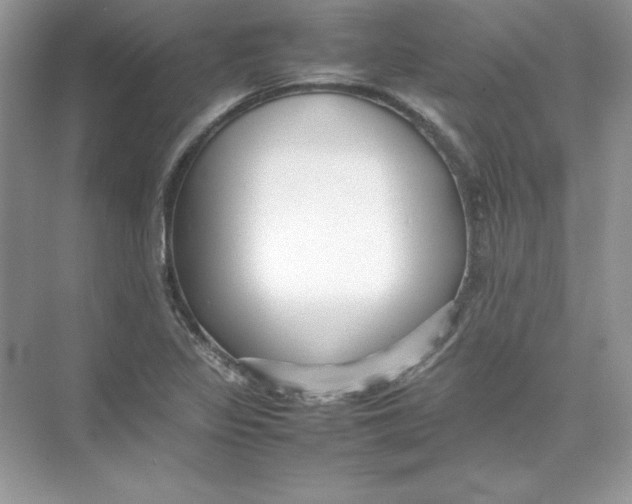 X0000074291317200609222259