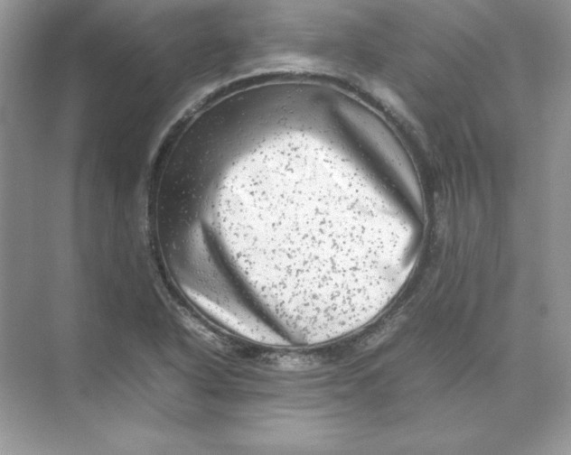 X0000074291318200609222259