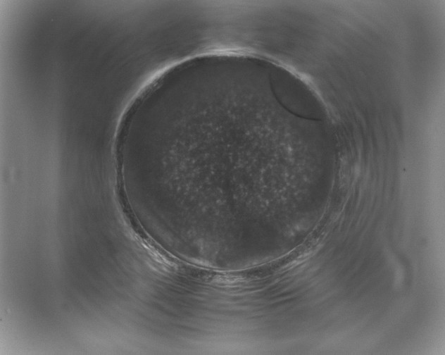 X0000074291319200609222259