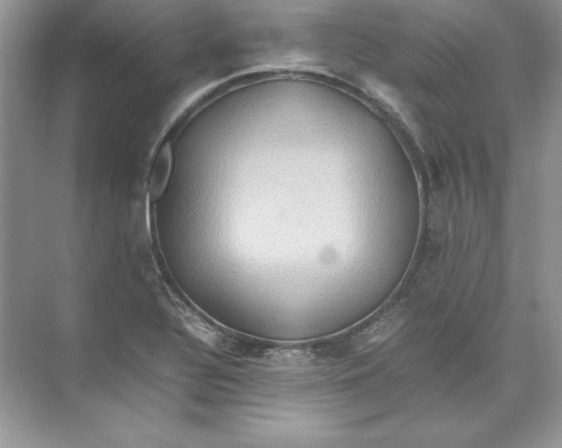 X0000074291320200609222259