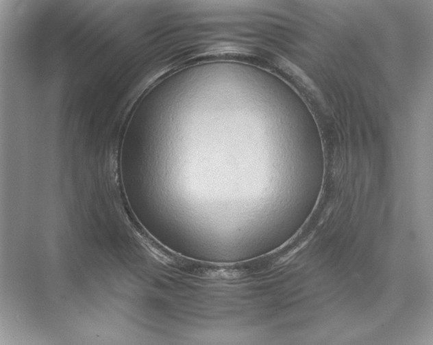 X0000074291321200609222259