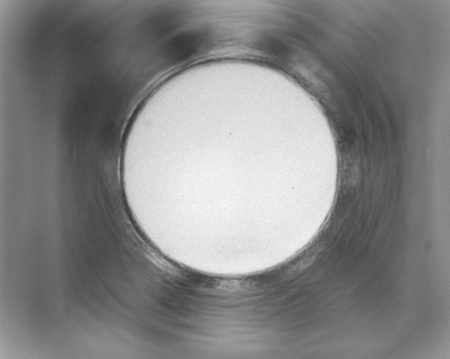 X0000074291322200609222259