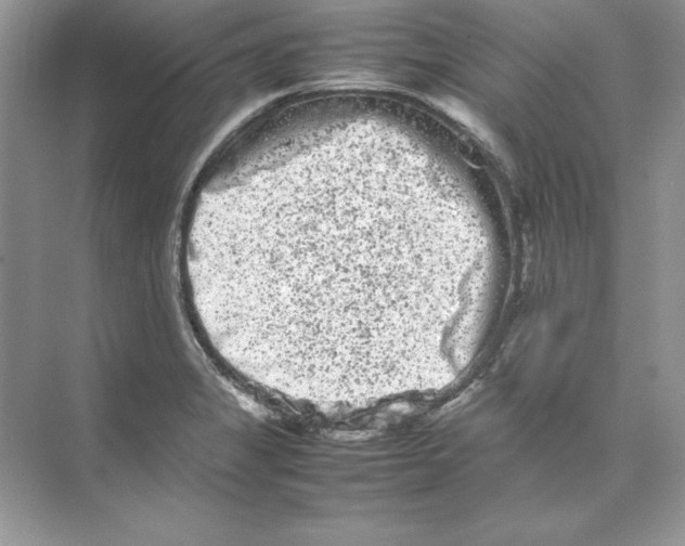 X0000074291325200609222259