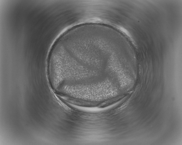 X0000074291326200609222259