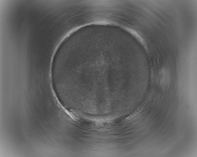 X0000074291327200609222259