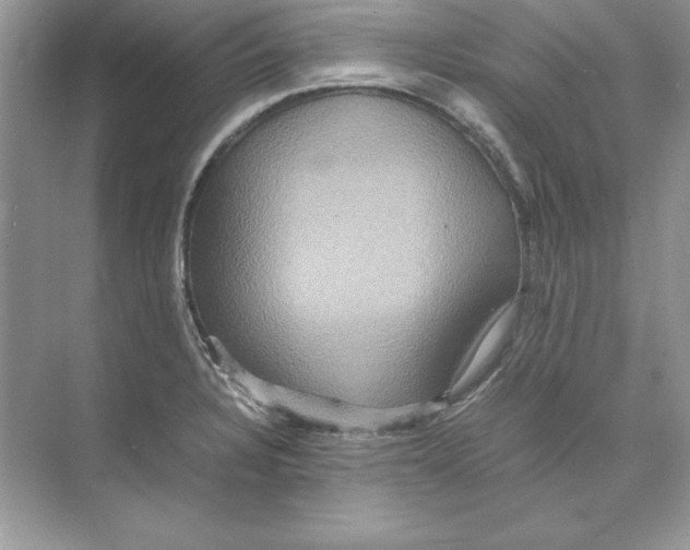 X0000074291328200609222259