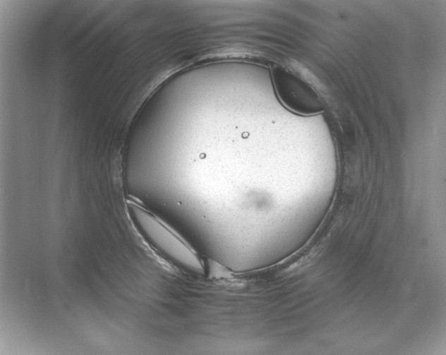 X0000074291329200609222259