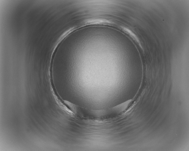 X0000074291330200609222259