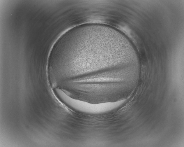 X0000074291331200609222259