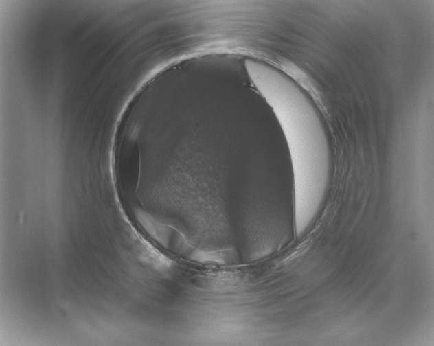 X0000074291334200609222259