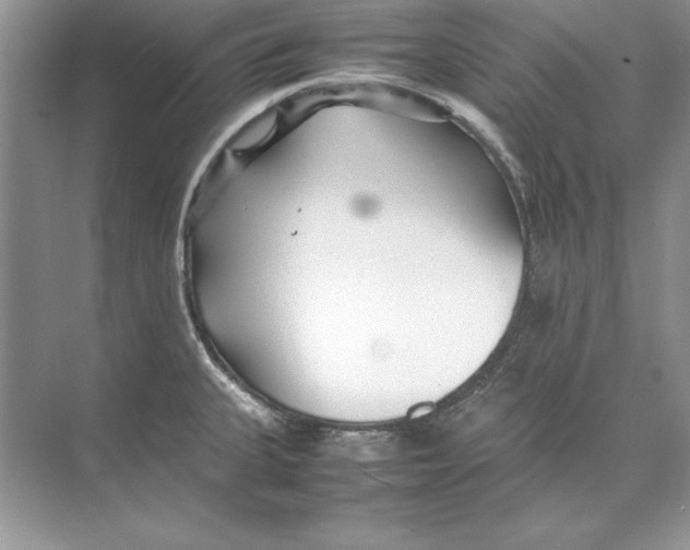 X0000074291335200609222259